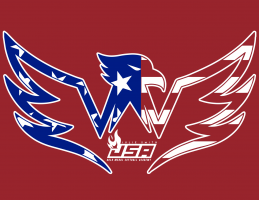 usa usa